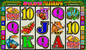 Bush Telegraph Video Slot