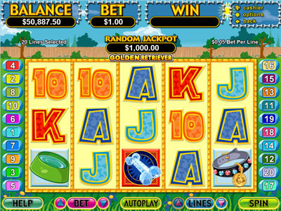 Golden Retriever Video Slot