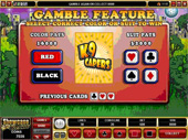 K9 Capers Video Slot - Gamble Screen