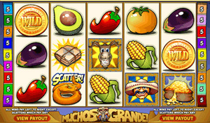 Muchos Grande Video Slot