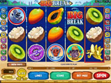 Rich Reels Online Casino - Big Break Video Slot