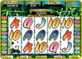 Slot Madness Casino - Tiger Treasures Slot