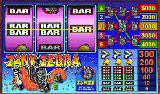 Vegas Slot Casino - Zany Zebra Slot