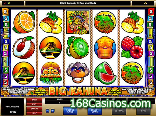 Big Kahuna Slot