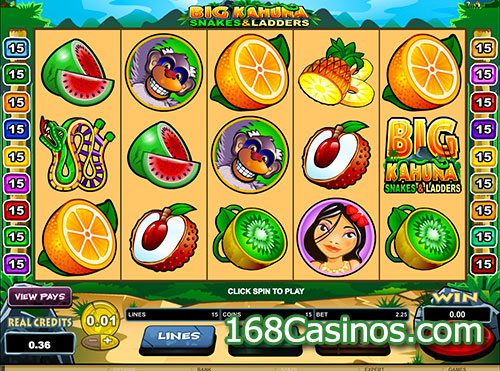 Big Kahuna Snakes & Ladders Slot