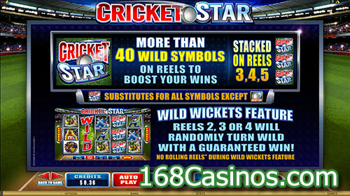 Cricket Star Slot Wild Symbols