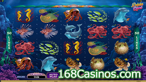 Dolphin Quest Slot