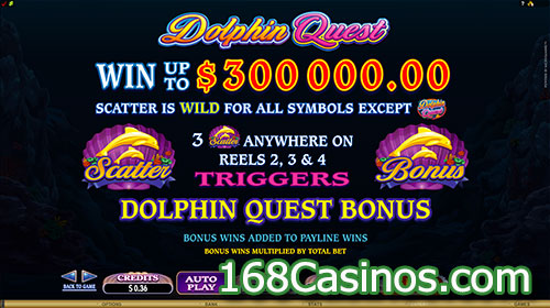 Dolphin Quest Slot Bonus