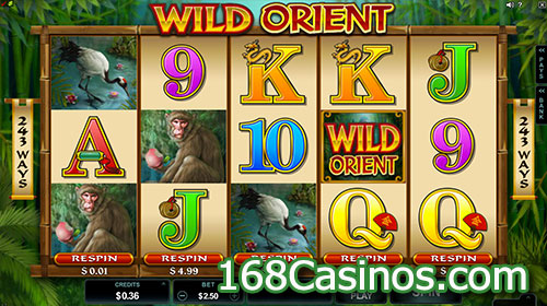 Wild Orient Slot