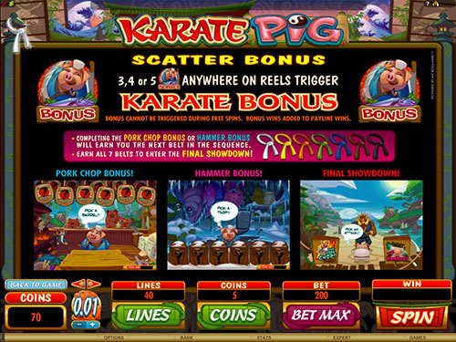Karate Pig Slot Bonus