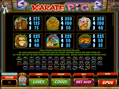 Karate Pig Online Slot Paytable