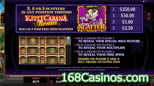 Kitty Cabana Video Slot Scatter Bonus