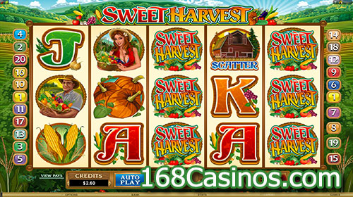 Sweet Harvest Slot