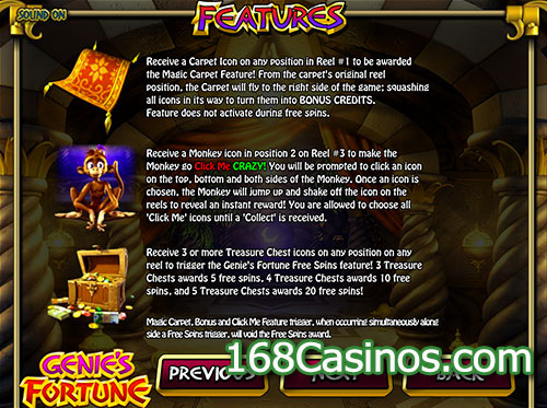 Genie's Fortune Video Slot Bonus